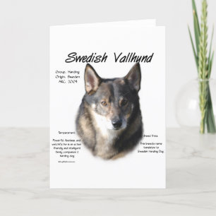 Swedish Vallhund History Holiday Card