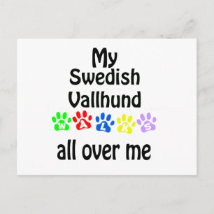 Swedish Vallhund Walks Design Postcard