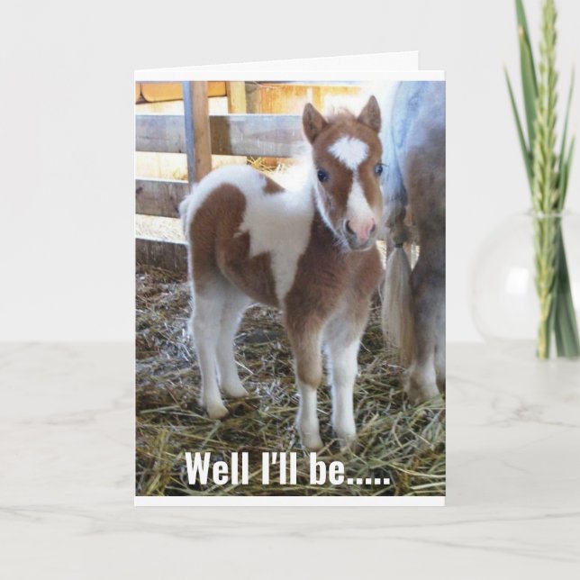 SWEEEEEET DONKEY SAYS HAPPY 50th BIRTHDAY! Card (Front)