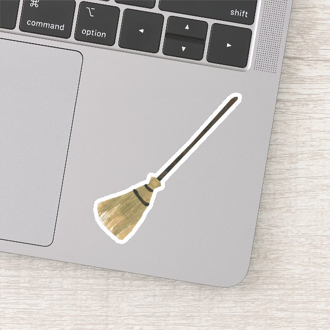 Sweeping brush (Detail)