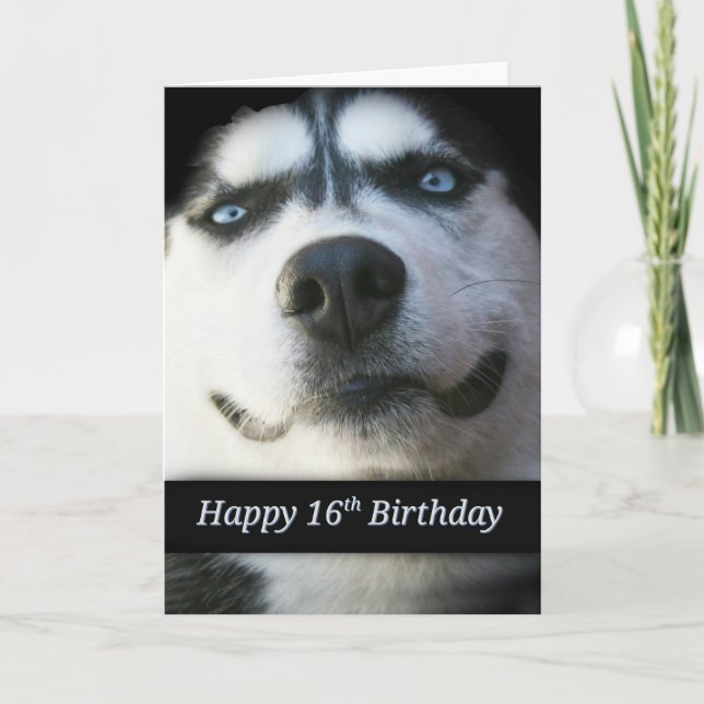 Sweet 16th Birthday Card, Cute Husky Invitation (Front)