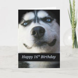 Sweet 16th Birthday Card, Cute Husky Invitation