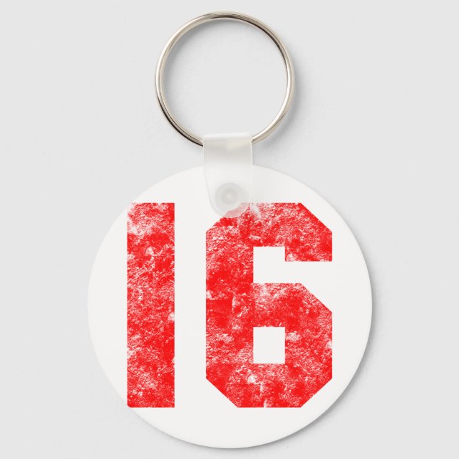 Sweet 16th Birthday Gifts Key Ring (Front)
