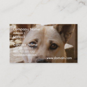 Sweet Akita Business Card