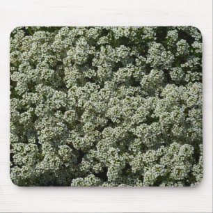 Sweet Alyssum Flowers White Floral Mouse Mat
