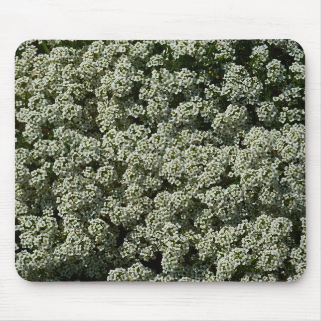 Sweet Alyssum Flowers White Floral Mouse Mat (Front)