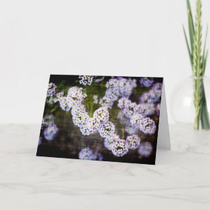 Sweet Alyssum in Grunge Mother's Day Card
