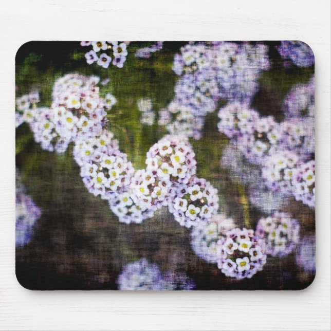 Sweet Alyssum in Grunge Mouse Mat (Front)
