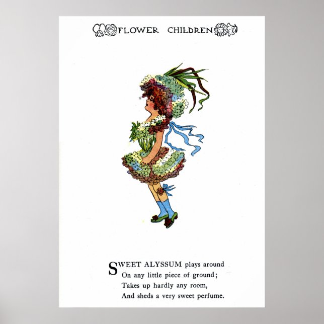 Sweet Alyssum Poster (Front)