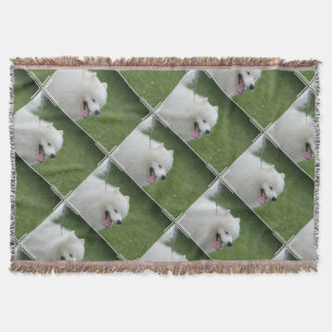 Sweet American Eskimo Dog Throw Blanket