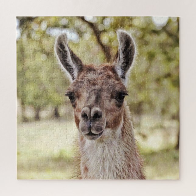 Sweet and Cute Llama Face Big Puzzle (Vertical)