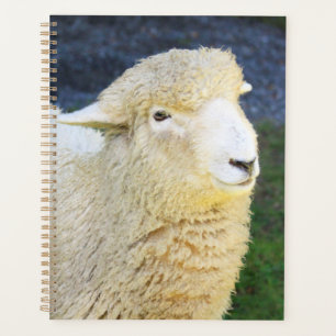Sweet And Friendly Sheep Planner