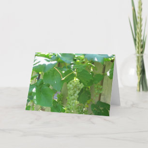 Sweet and Juicy White Seedless Grapes Card