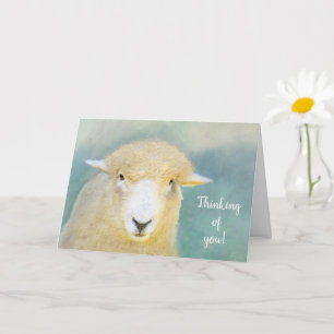 Sweet And Loving Sheep Get Well Card