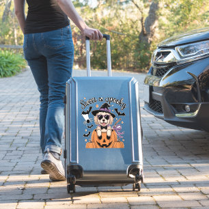 Sweet and Spooky Dog Halloween