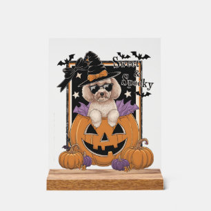 Sweet and Spooky Poodle and Pumpkin Acrylic Sign