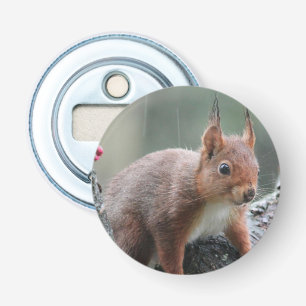 Sweet Animal Bottle Opener