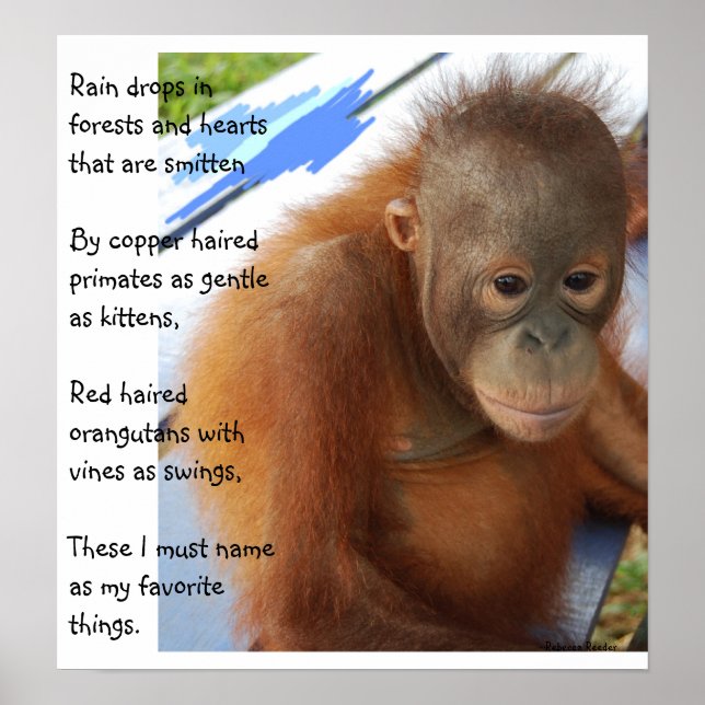 Sweet Animal Favorites Poster (Front)