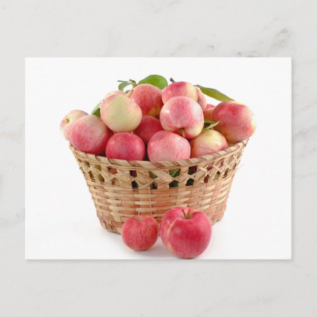 Sweet Apple Fruit Basket Postcard (Front)