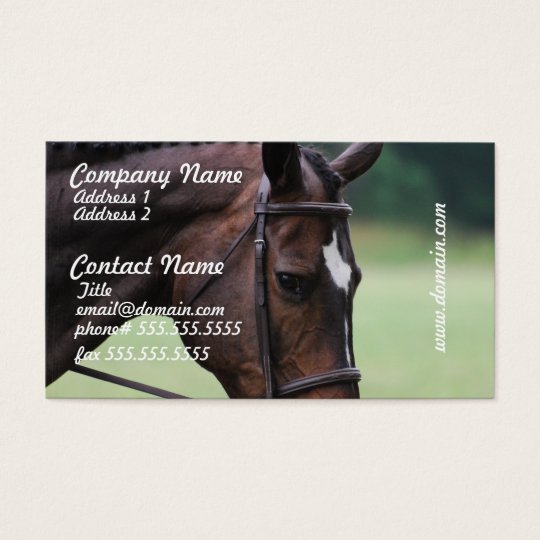 Sweet Arabian Horse Business Cards