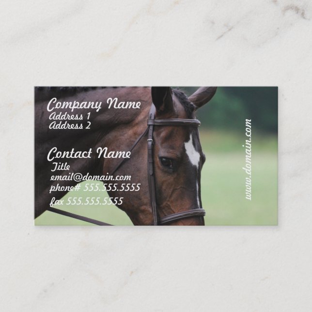 Sweet Arabian Horse Business Cards (Front)