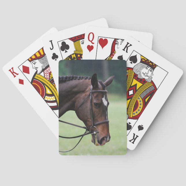 Sweet Arabian Horse Deck of Cards (Back)