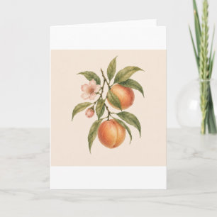 Sweet as a Peach Vintage Peach Botanical Design Card