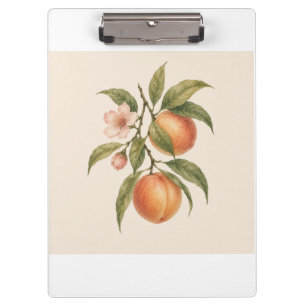Sweet as a Peach Vintage Peach Botanical Design Clipboard