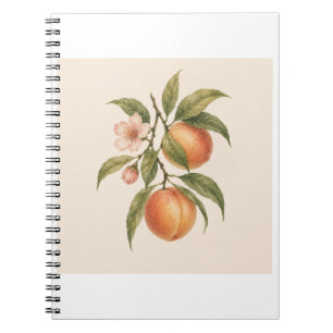 Sweet as a Peach Vintage Peach Botanical Design Notebook