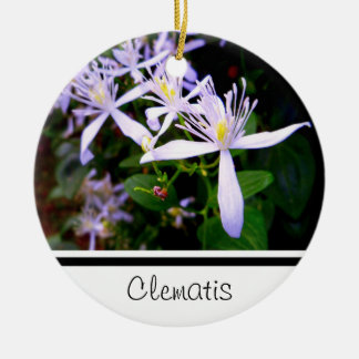Sweet Autumn Clematis Keepsake Ornament