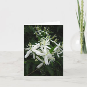 Sweet Autumn Clematis Photo Folded Note Card