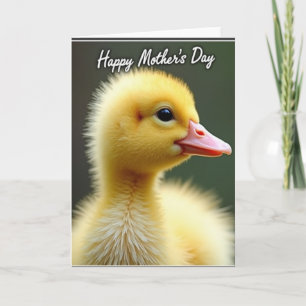 Sweet Baby Bird Mothers Day Card