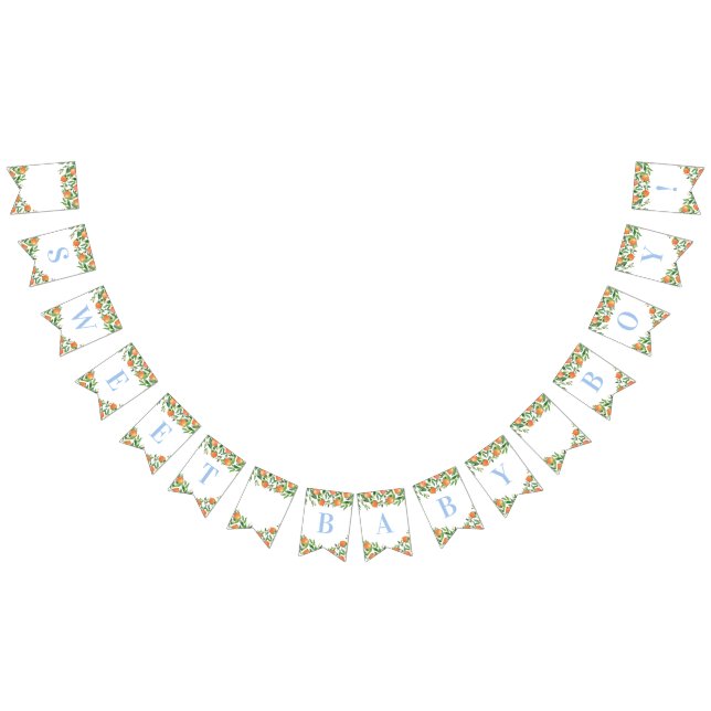 Sweet Baby Boy Citrus Powder Blue Baby Shower Bunting (All)