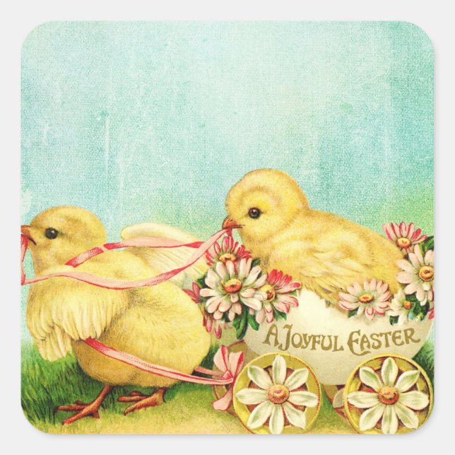 Sweet Baby Chicks Easter Vintage Image Square Sticker (Front)