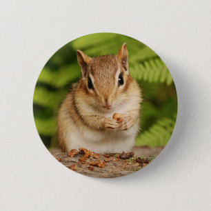 sweet baby chipmunk 6 cm round badge