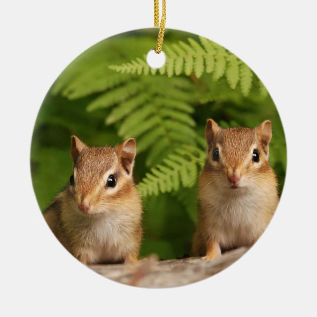 Sweet Baby Chipmunk Siblings Ceramic Tree Decoration (Front)