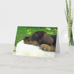 Sweet Baby - cute Dachshund puppy Card