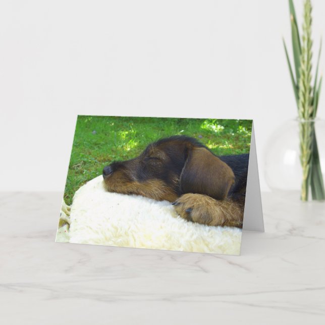 Sweet Baby - cute Dachshund puppy Card (Front)