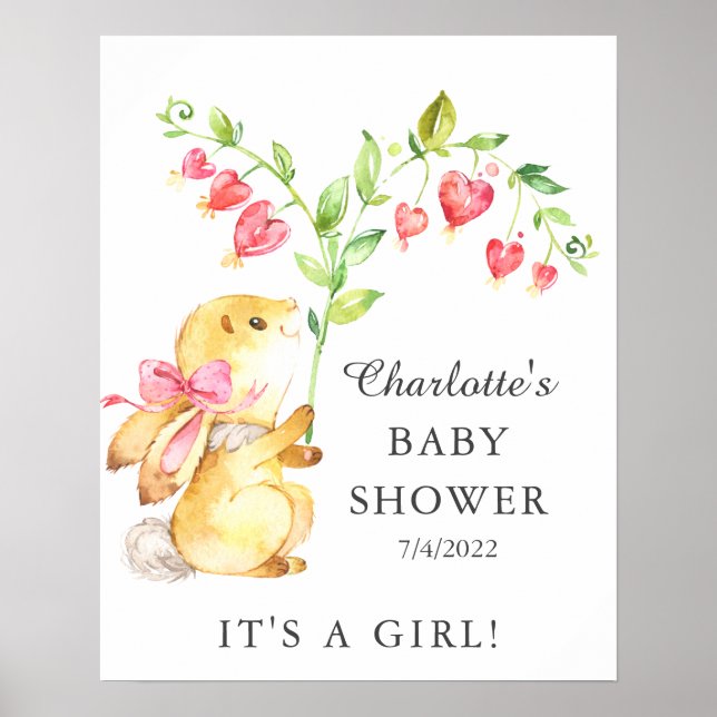 Sweet Baby Girl Bunny Baby Shower  Poster (Front)