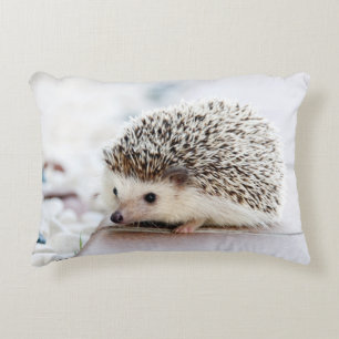 Sweet Baby Hedgehog Decorative Cushion