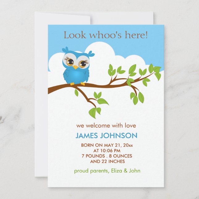 Sweet Baby Owl Boy Birth Announcement Card (Front)