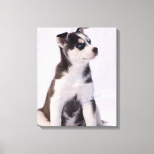 Sweet Baby Puppy Canvas Print