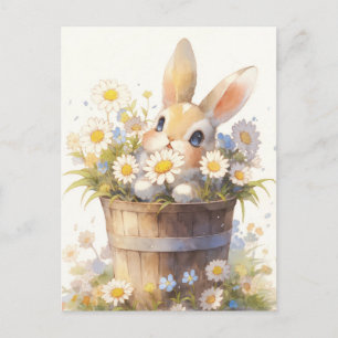 Sweet Baby Rabbit in Wooden Daisy Bucket Postcard