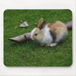 Sweet Baby Rabbit Mouse Mat