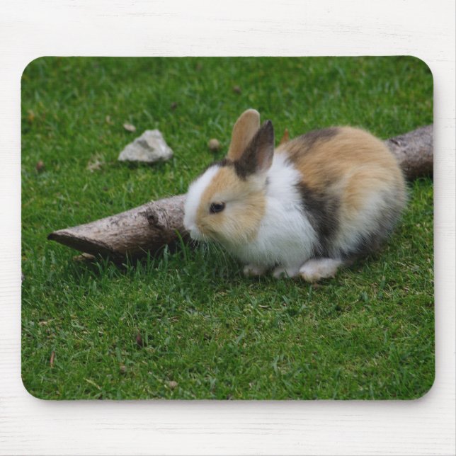 Sweet Baby Rabbit Mouse Mat (Front)