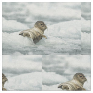 Sweet Baby Seal Fabric