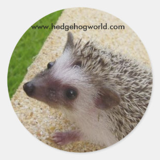 sweet baby sticker