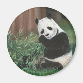 Sweet Bamboo Panda Bear magnet