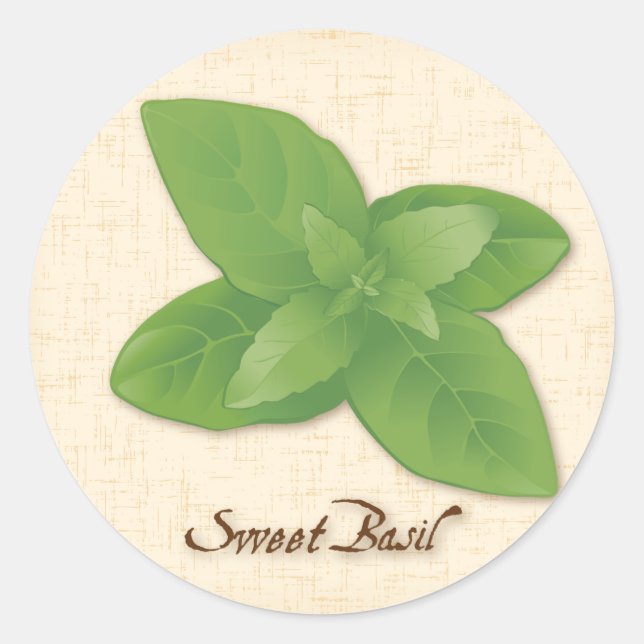 Sweet Basil Herb Classic Round Sticker (Front)