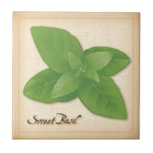 Sweet Basil Herb